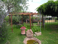 La Moncer - Montignoso - Parco La Moncer
